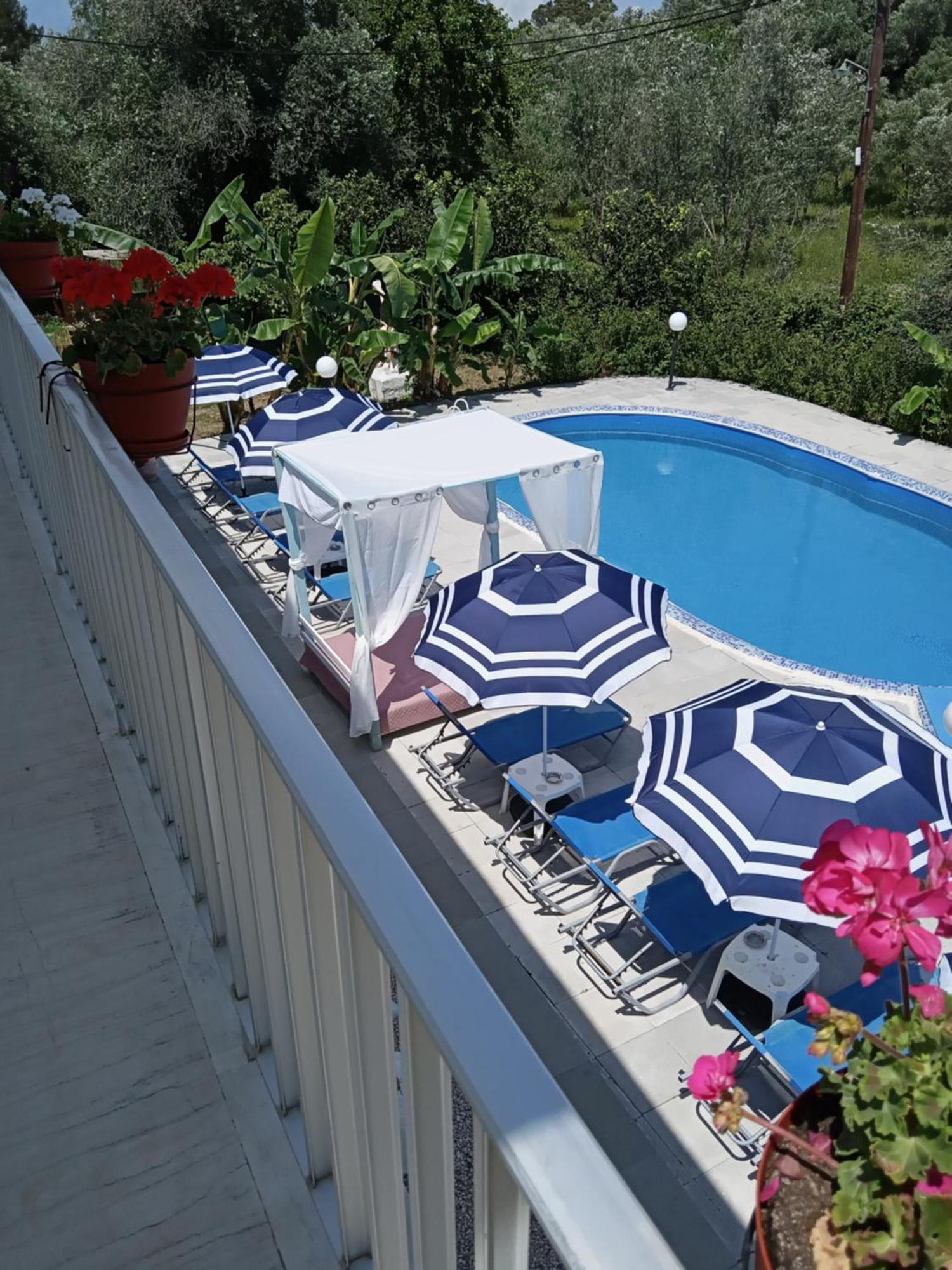 Rose Apartments Mesonghi Μωραΐτικα Δωμάτιο φωτογραφία